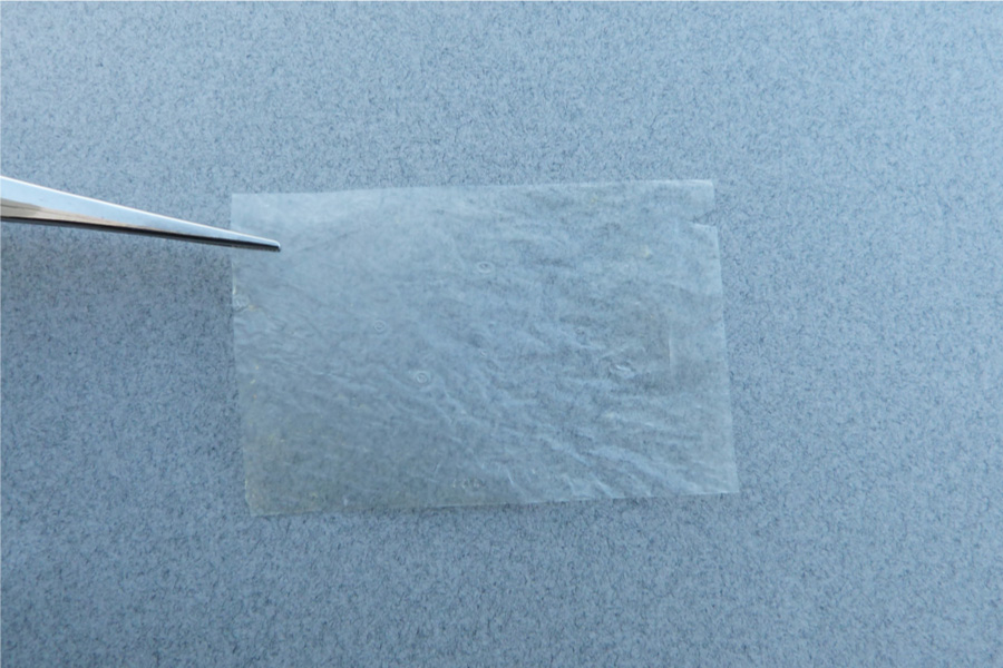 cellrighttechnologies aminoworks