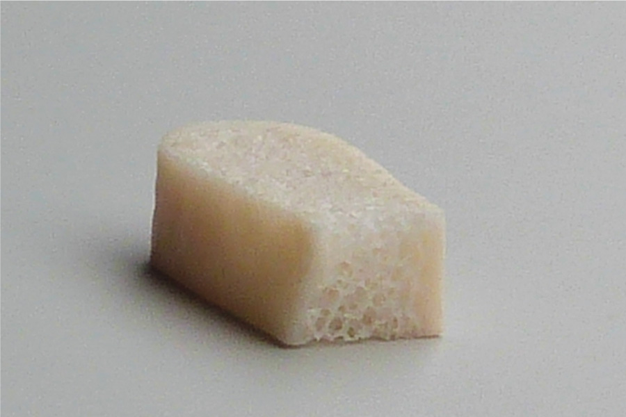 cellrighttechnologies conventional grafts